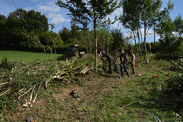 Hedgelaying Course